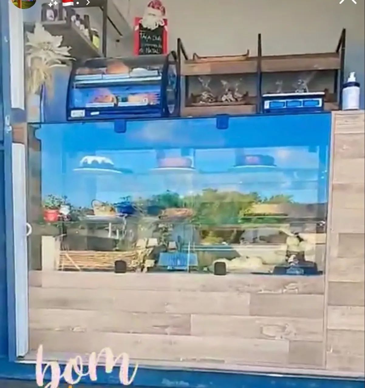 Vitrine seca padaria