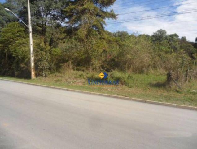 Terreno para venda em colombo no bairro são gabriel - Foto 15