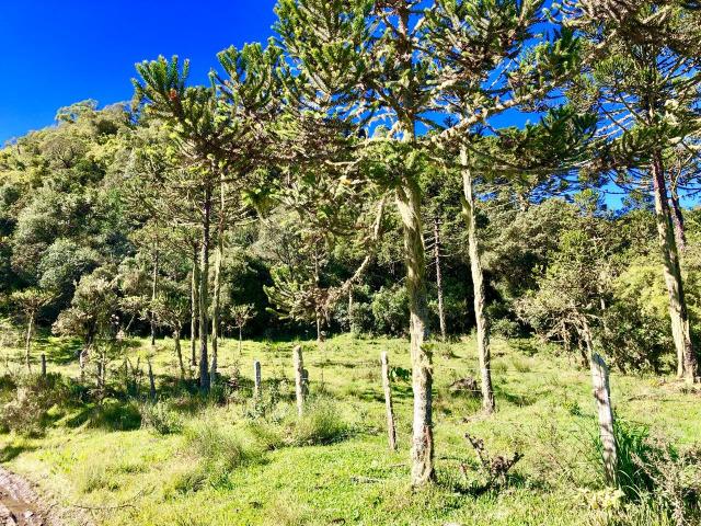 Chácara em Urubici ideal para pousada - Foto 5