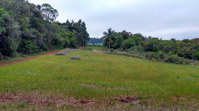 Chácara de 7.5 Alqueires . 1 Alq Mecanizado + 4 mil Pé de Eucalipto ( Jordão ) Guarapuava - Foto 3