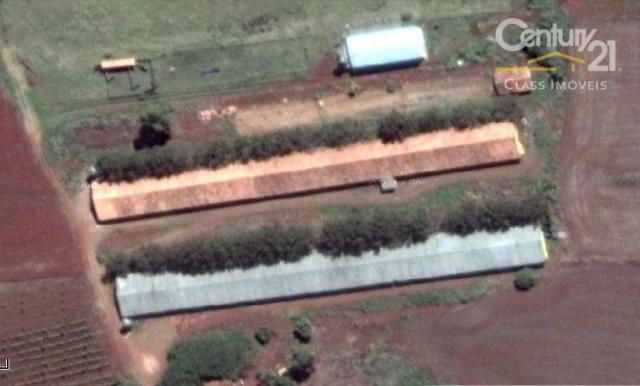 Sítio rural à venda, gleba palhano, londrina. - Foto 5