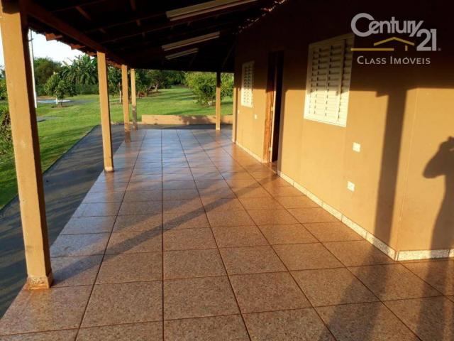Chácara rural à venda, limoeiro, londrina. - Foto 2