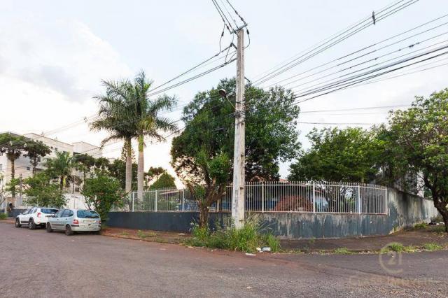 Chácara com 3 dormitórios à venda, 3005 m² - jardim morumbi - londrina/pr