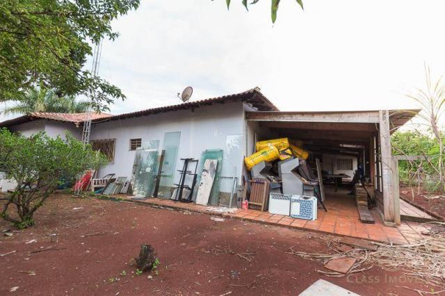 Chácara com 3 dormitórios à venda, 3005 m² - jardim morumbi - londrina/pr - Foto 17