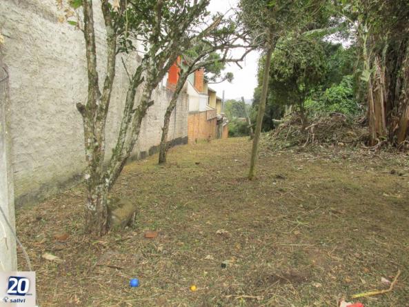 Terreno à venda em Taboao, Curitiba cod:42500.3439 - Foto 16