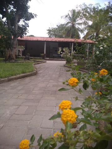 Sítio no ouro fino - Foto 6