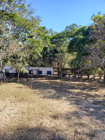 Propriedade de 98 hectares em Luziânia - Foto 2