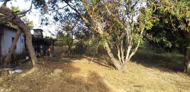 Propriedade de 98 hectares em Luziânia - Foto 9