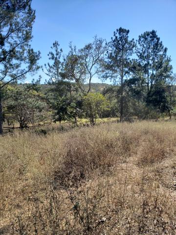 Propriedade de 98 hectares em Luziânia - Foto 13