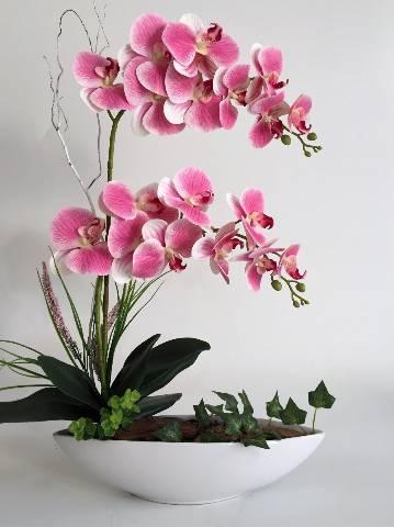 Curso de orquídeas para vendas - Foto 3