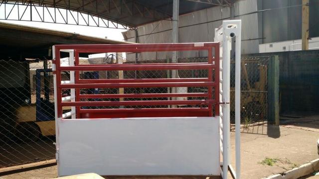 Bretes brete bribor metais para rodeio montaria fazenda sítios chácara - Foto 4