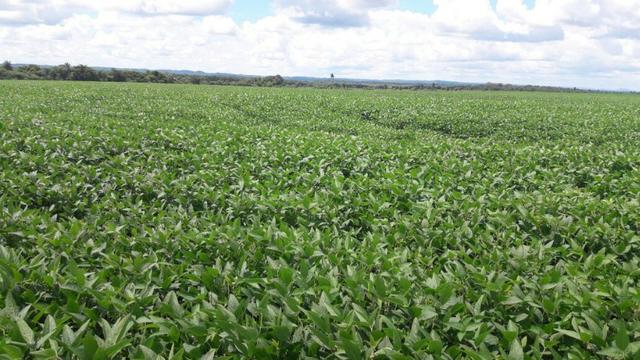 Fazenda 405 alqueires em Goioerê - PR