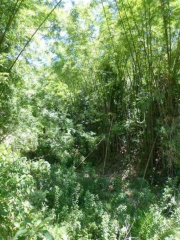 Sítio de 14 alqueires em Silva Jardim, RJ - Foto 11