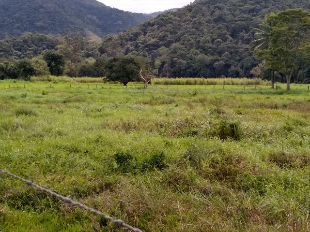 Sítio de 15 alqueires em Silva Jardim, RJ - Foto 16