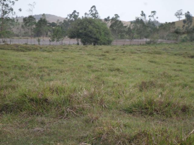 Fazenda de 118 alqueires em Casimiro de Abreu, RJ - Foto 20