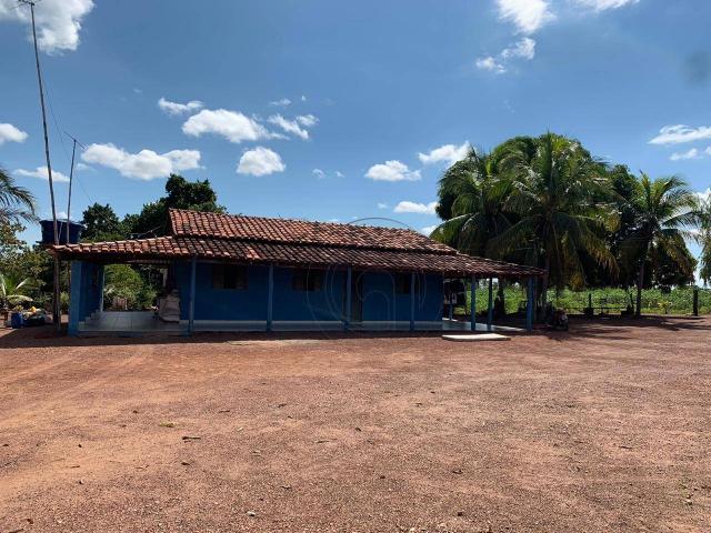 Sítio 70ha região acorizal 60km de cuiabá - Foto 6