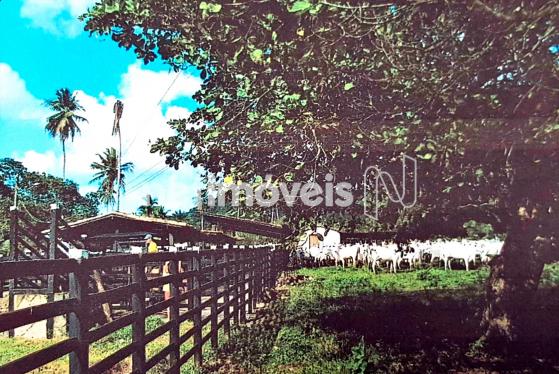 Terreno à venda em Fazenda exemplo, Cachoeira cod:766495 - Foto 10