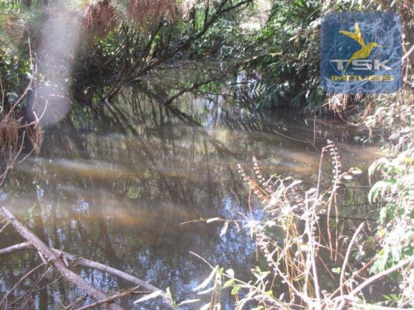 CH0252 - Agudos do Sul Chácara 10.000 m² frente asfalto 2 km da cidade - Foto 20