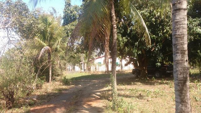 Chácara 5 ha, com Rio 70 km Campo Grande MS - Foto 8