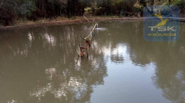 Chácara Rural/Comercial 1.500 m² Mandirituba frente estrada - Foto 12