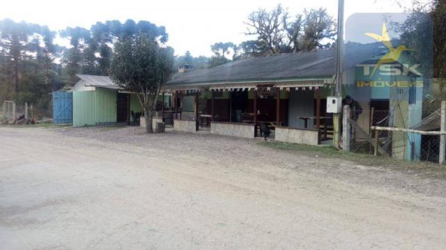 Chácara Rural/Comercial 1.500 m² Mandirituba frente estrada