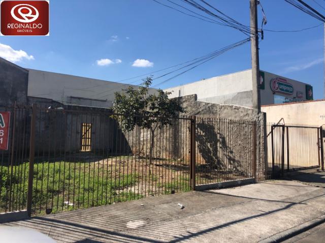 Terreno para alugar em Jardim pedro demeterco, Pinhais cod:00217.001 - Foto 3