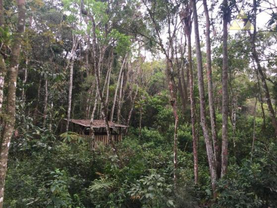 Sítio rural à venda, itajuba, barra velha. - Foto 2