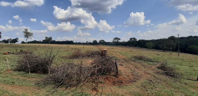 Fazenda a venda em bela vista de goias - Foto 6