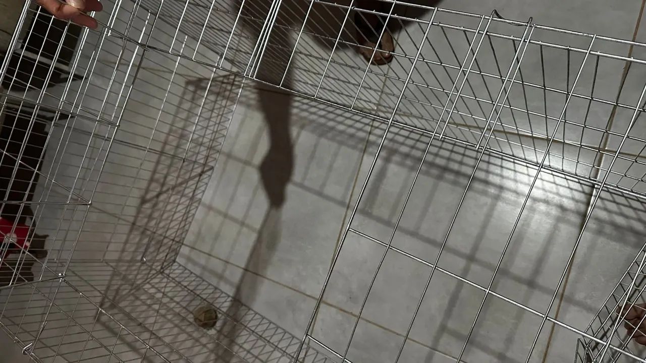 Gaiola para Animais - Foto 4