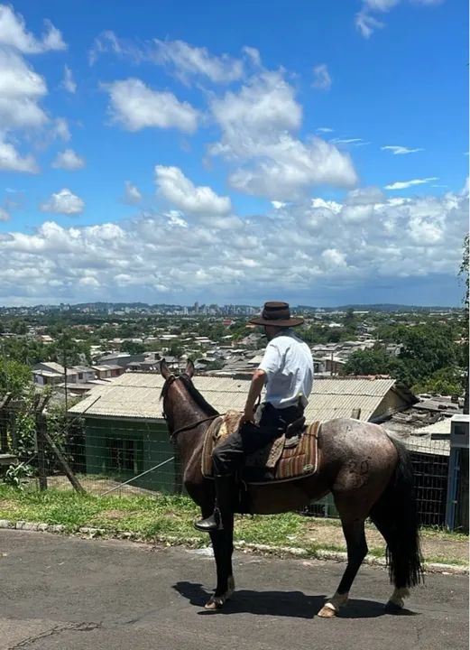 Rosilha Moura, top, documentada! - Foto 4
