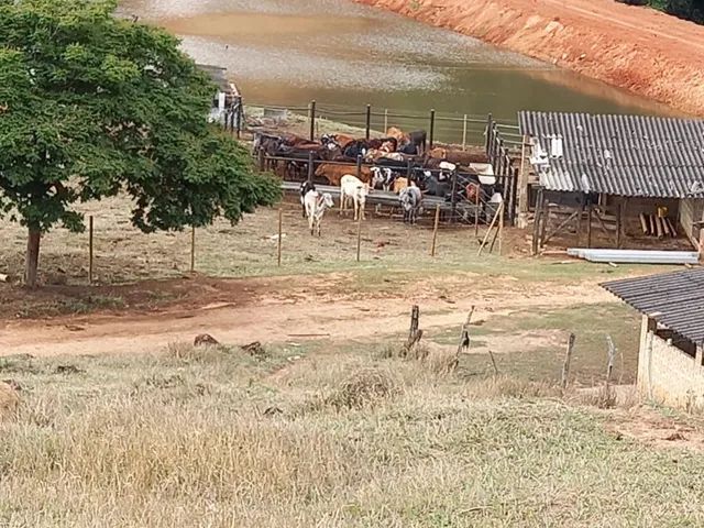 Fazenda 62 hectares em Pará de Minas  - Foto 4