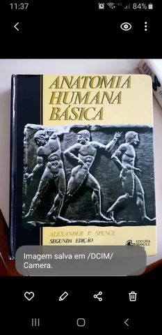 LIVRO ANATOMIA BASICA PERFEITO ESTADO
