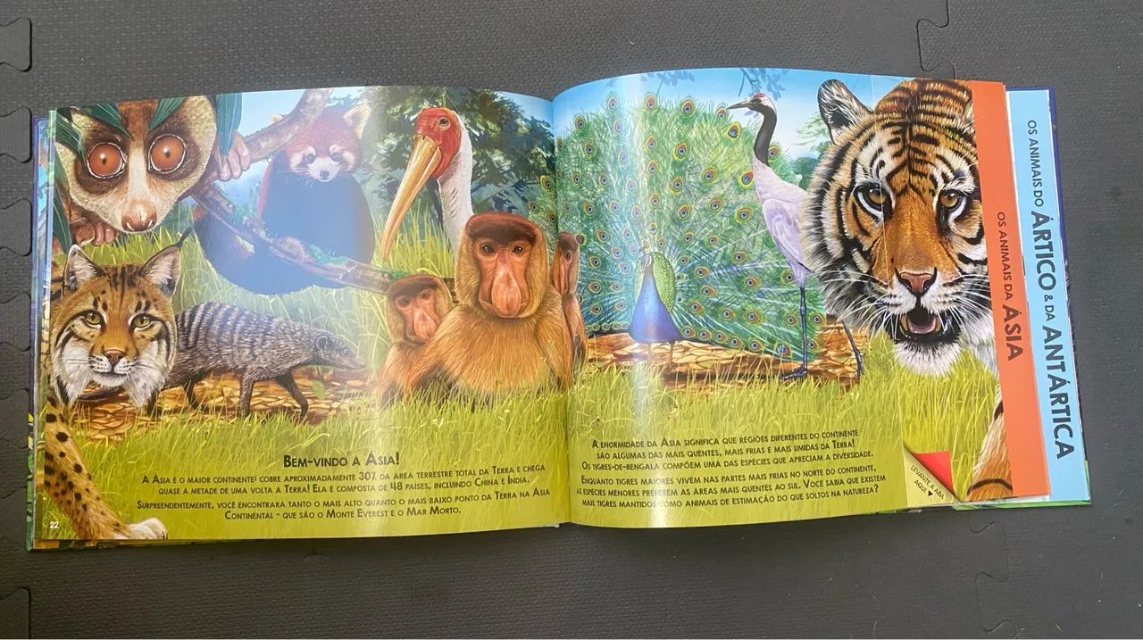 Livro Infantil - Animais do Mundo e Aventura Selvagem - Foto 5
