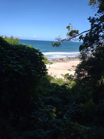 foto - Florianópolis - Pântano do Sul