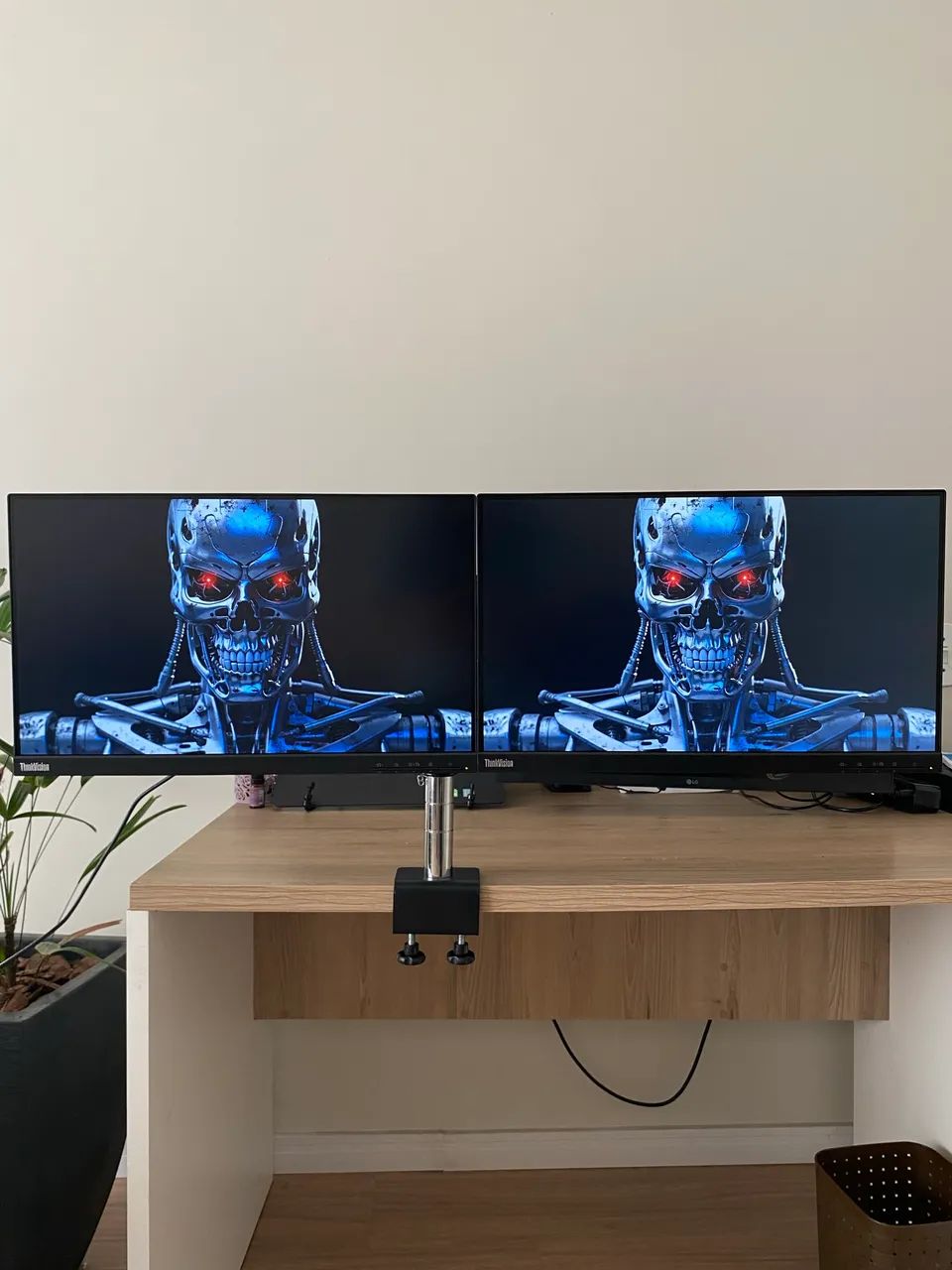 Monitores Lenovo ThinkVision 75Hz Full HD 22