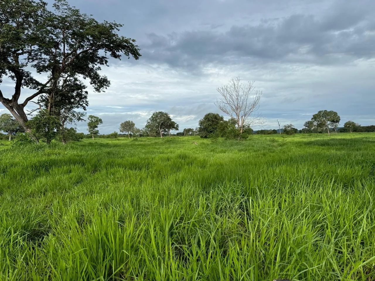 Fazenda em Itacaiu GO/MT - Foto 3
