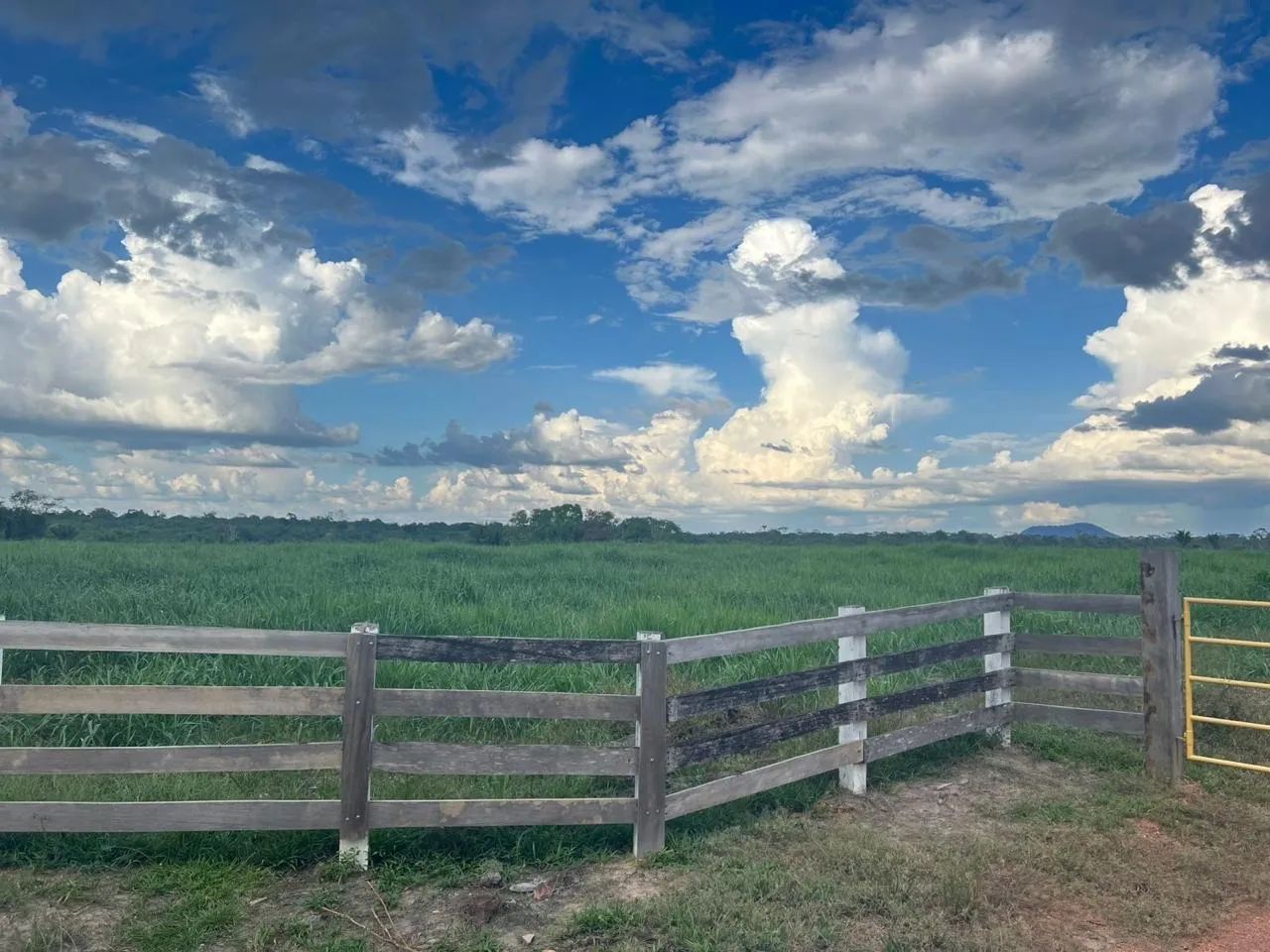 Fazenda 700ha em Cantá/RR - 260ha limpos, sede, curral, galpão e documentação em dia. - Foto 8