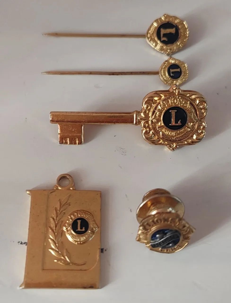 Coleção Vintage com Broches e Pins Lions Club