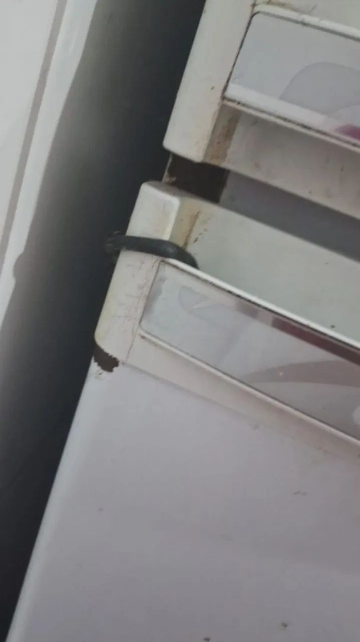 Geladeira Usada em Ótimo Estado - Foto 4