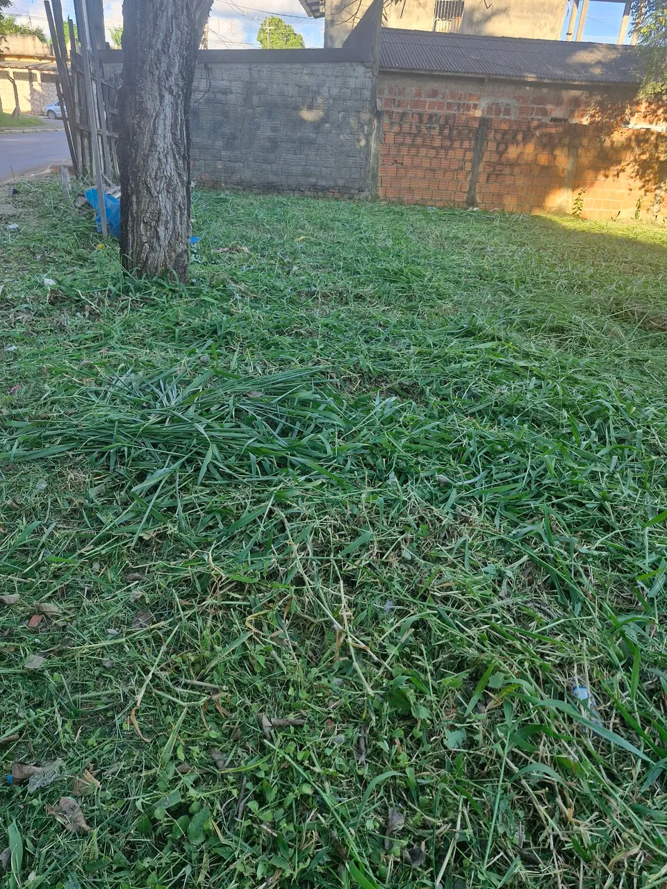 Terreno