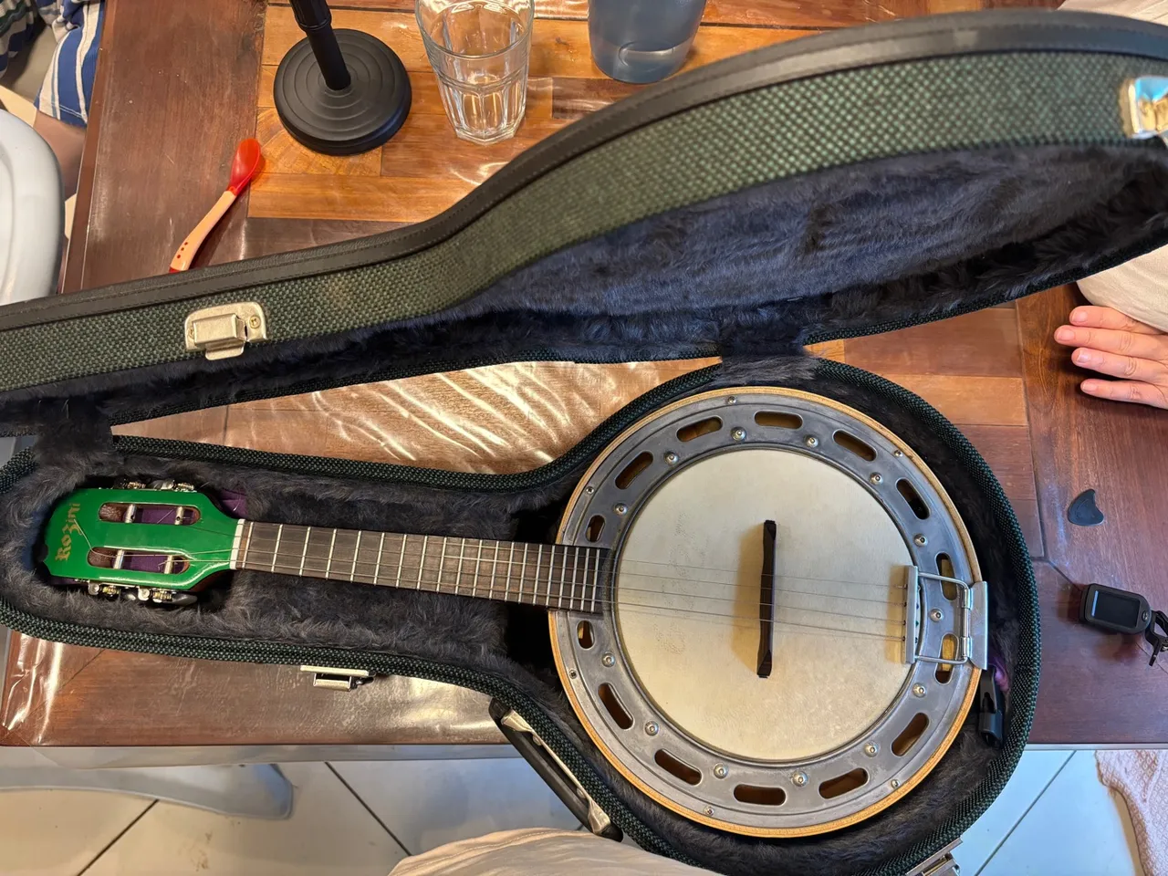 Banjo Profissional elétrico Rozini verde (com case)