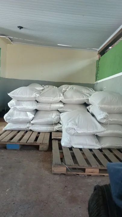 Procuro sócio ou investidor urgente  - Foto 6