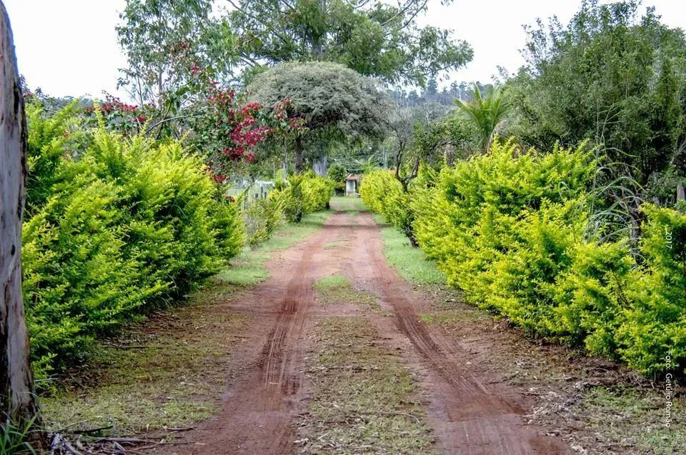 Sítio em Brazlandia -DF, 48ha, escriturado - Foto 9