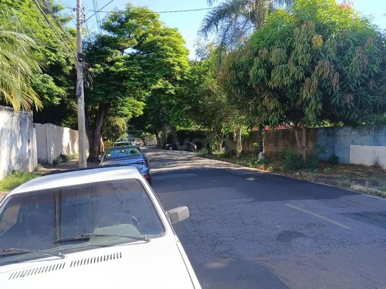Terreno para alugar em Campinas, Chácara Primavera, com 1000 m² - Foto 5