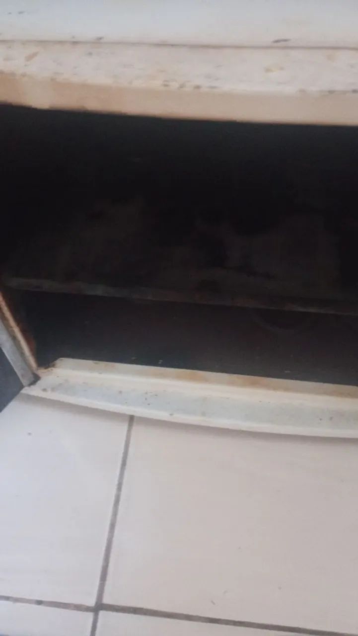 Forno elétrico  - Foto 4