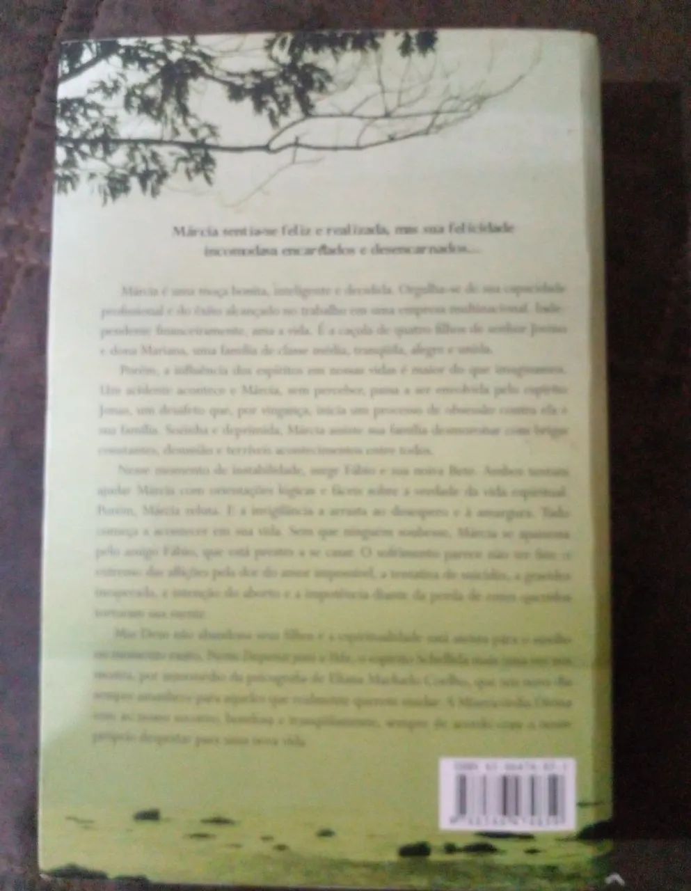 Livro Despertar para a Vida  - Foto 2