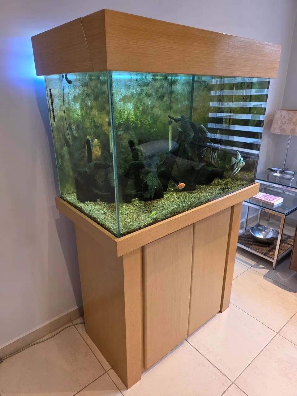 Aquario 270 litros com móvel e iluminação - Foto 3