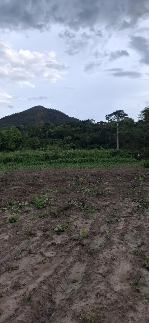 Chácara 2 hectares no Morro de Sto Antonio  - Foto 2
