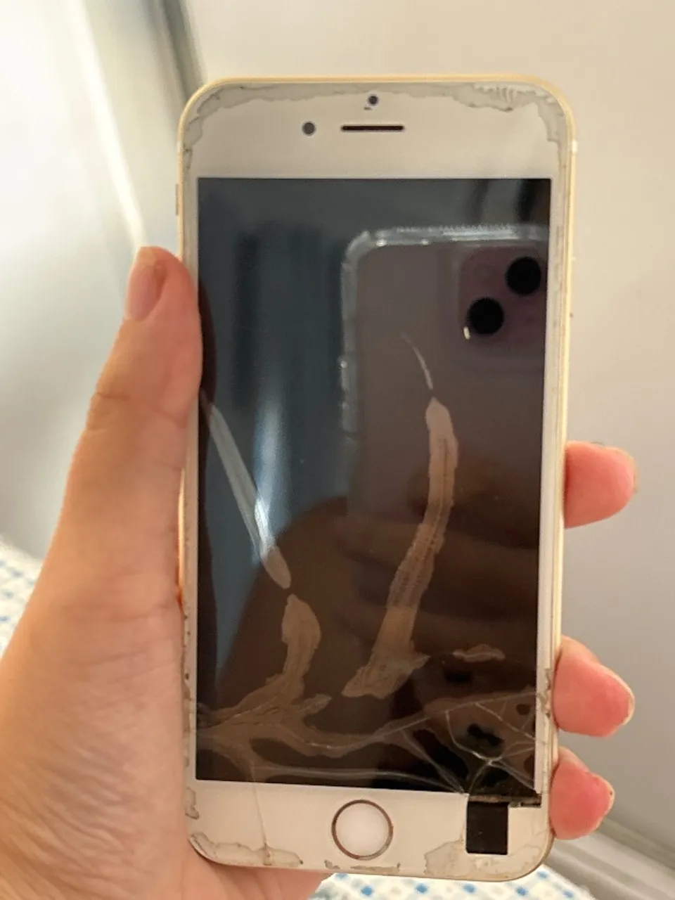 iPhone 6s Interno perfeito