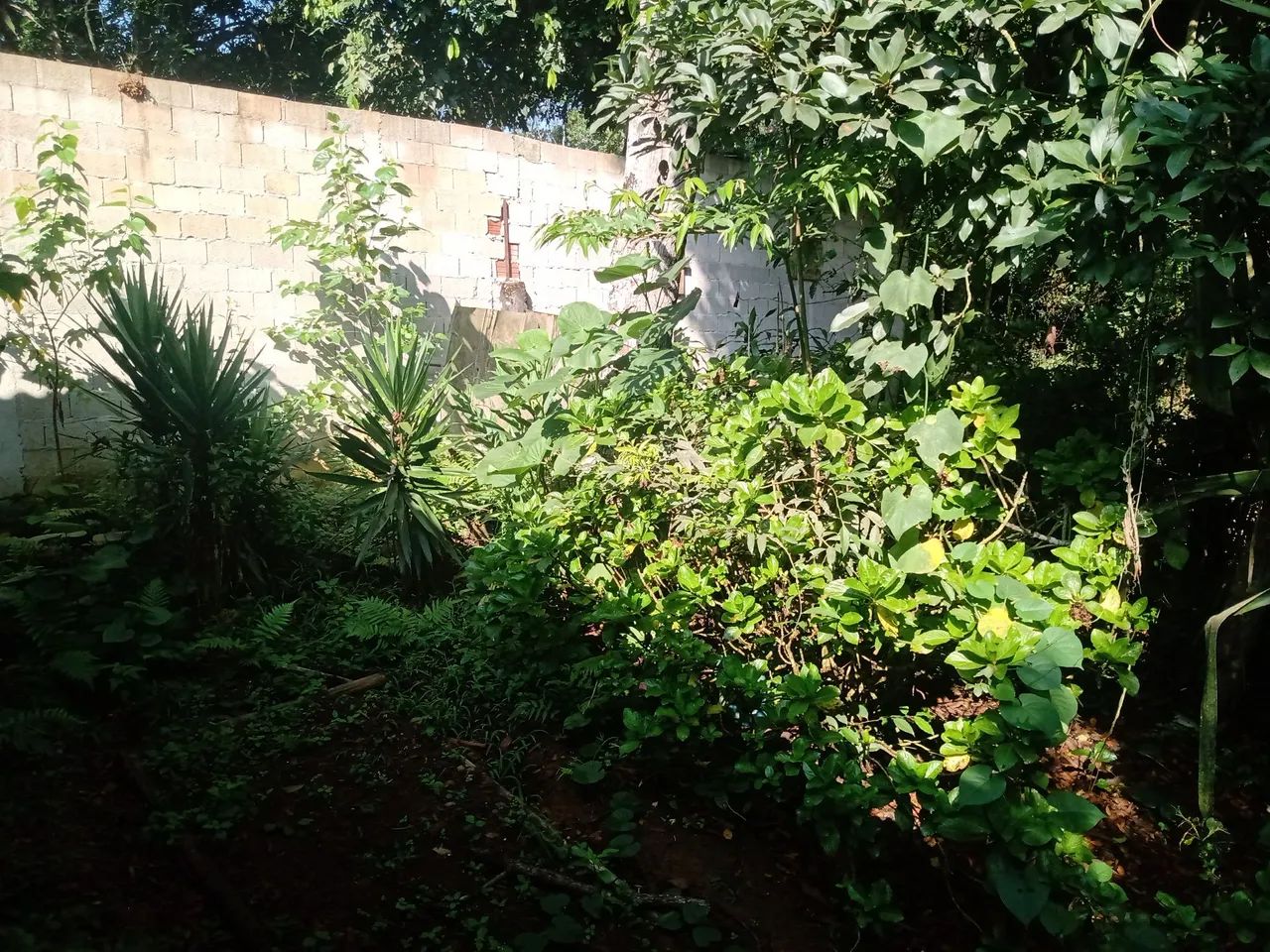 Vendo outro troco por casa - Foto 3